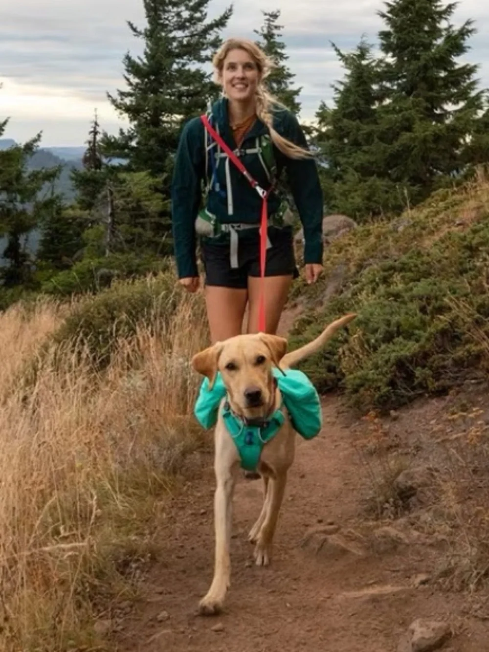 Ruffwear Front Range Day Pack Dog Harness #85